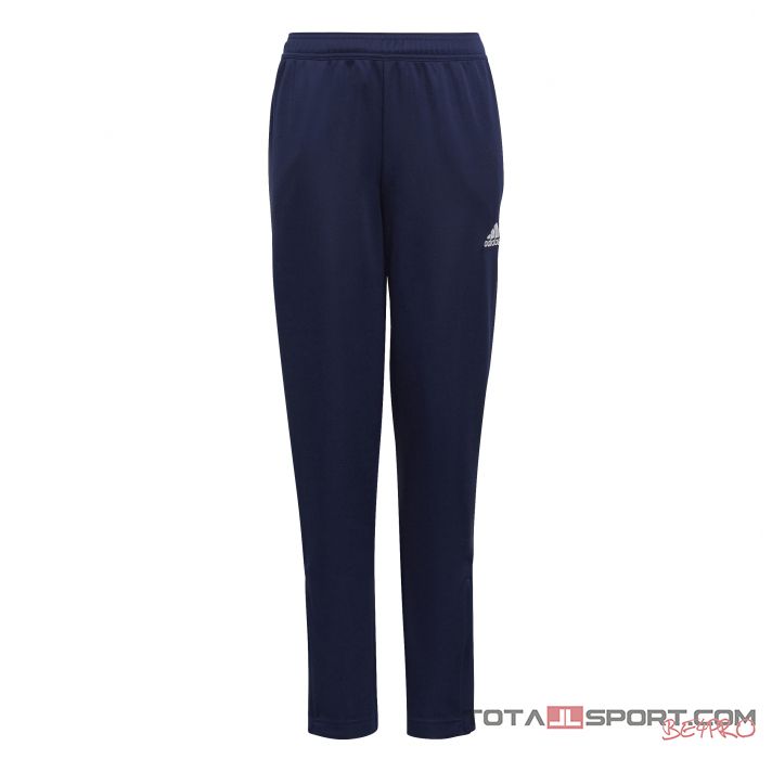 Adidas Entrada 22 TR pants kid