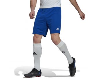 Adidas Entrada 22 shorts