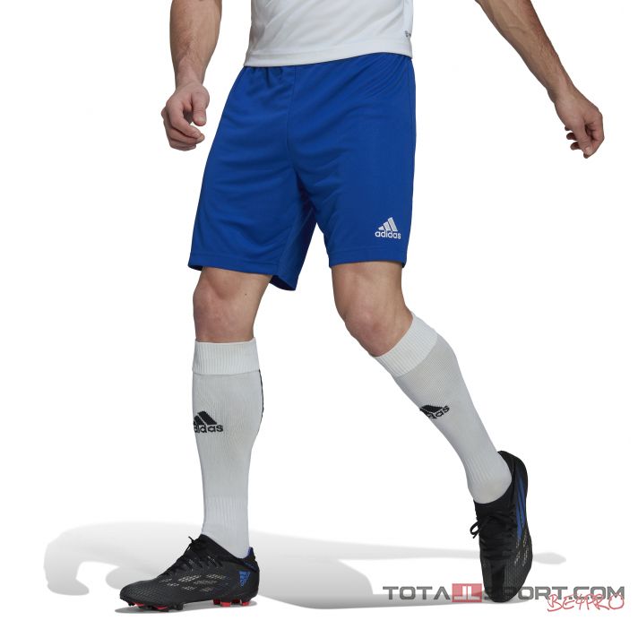 Adidas Entrada 22 shorts