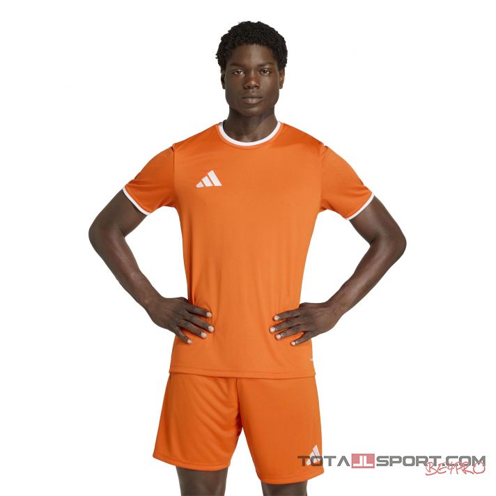 adidas Entrada 26 mez