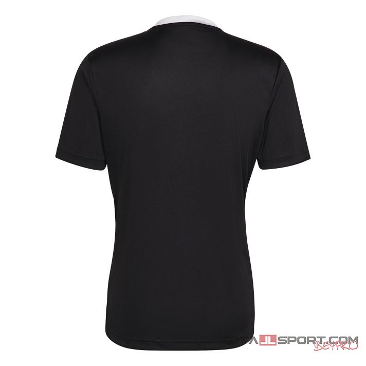 Adidas Entrada 22 mez