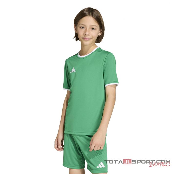 adidas Entrada 26 gyerek mez