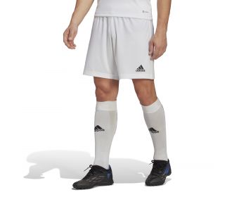 Adidas Entrada 22 shorts