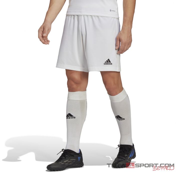 Adidas Entrada 22 shorts