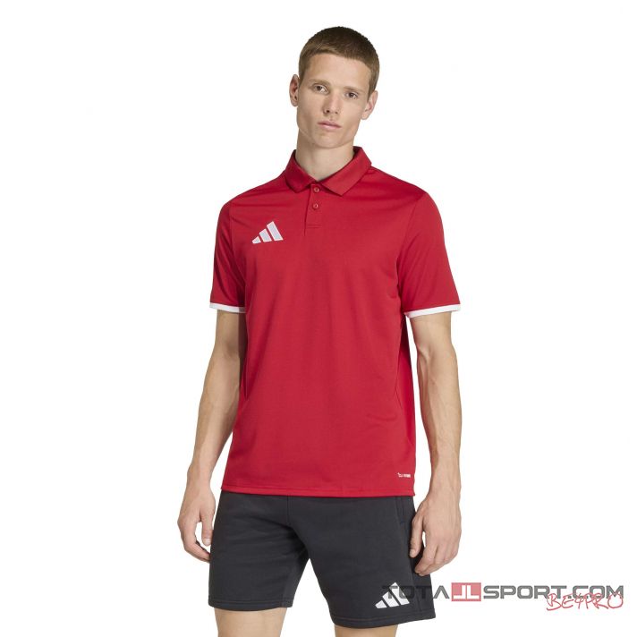 adidas Entrada 26 galléros póló