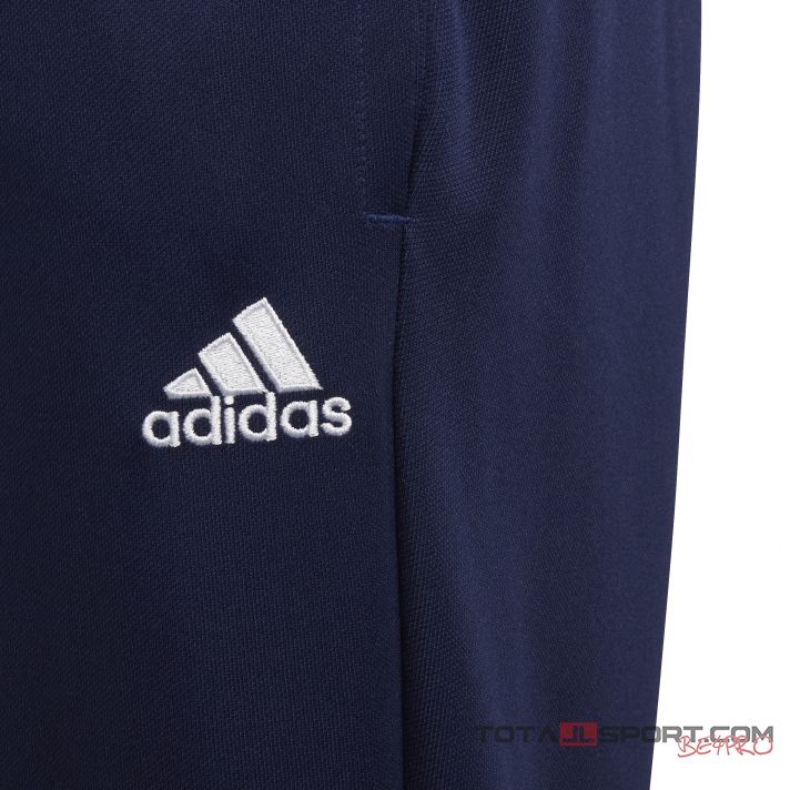 Adidas Entrada 22 TR pants kid