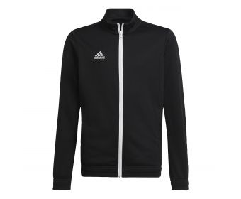 Adidas Entrada 22 Tr jacket junior