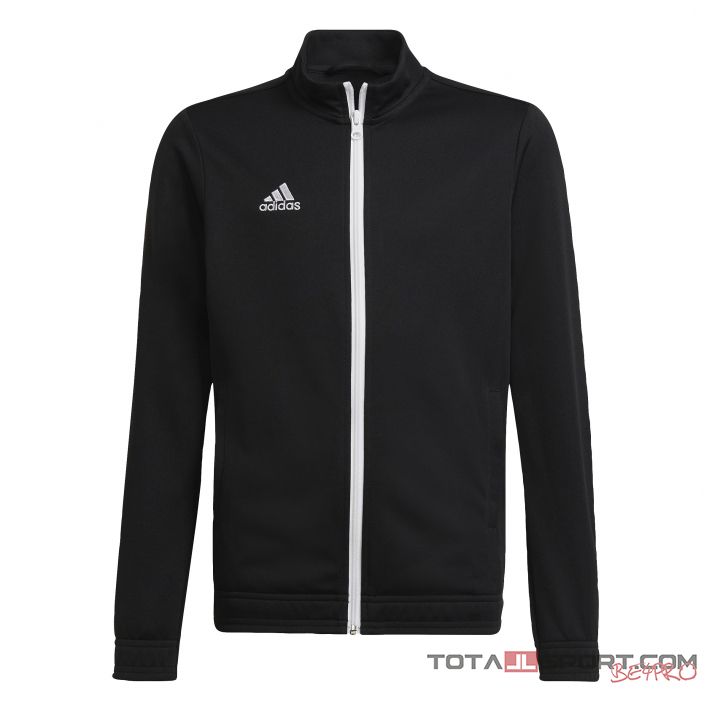 Adidas Entrada 22 Tr jacket junior